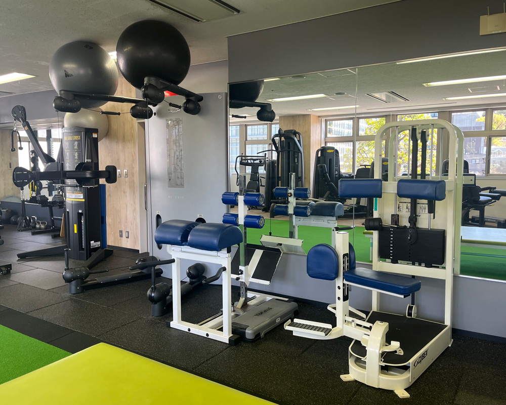 トルソーローテーション